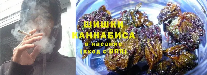 МАРИХУАНА Ganja  Дмитриев 